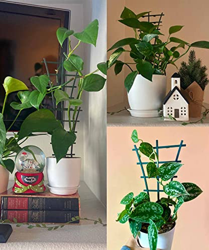 Feitore 12Pcs Indoor Plant Trellis for Climbing Plants Outdoor, Stackable - size: 12 Pcs