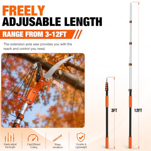 LAANPOLE 20FT Reach Tree Trimmer, Manual Pole Saw with 3-12FT Extension Pole, Tree Pruner Extendable for High Tree Branch Trimming Pruning Cutting - size: 12FT