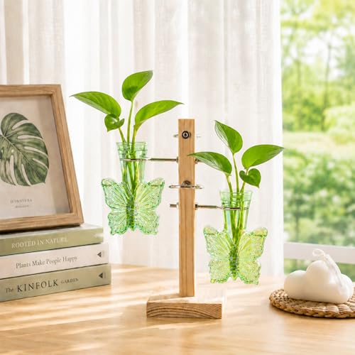 Nacome Plant Terrarium Propagation Stations: Green Vase with Wooden Stand - color: Green