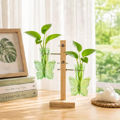 Nacome Plant Terrarium Propagation Stations: Green Vase with Wooden Stand - color: Green