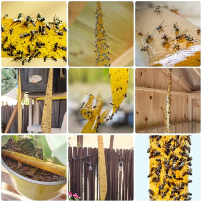 40 Pcs Fly Trap Strips Indoor Outdoor, Fruit Fly Paper Tape Sticky with Pin - size: 40 pack