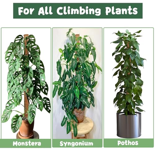 1 Pack 47.24 Inch Bendable Moss Pole for Monstera - size: 1 Pack- 120cm