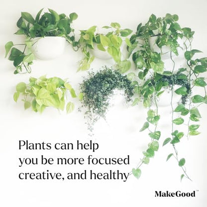 Make Good Virgo Wall Planters (Wide, Set of 6) - Easy to Water and Install - Lightweight - Design Your Own Vertical Garden - Melamine Plastic