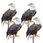 Fake Hawk to Keep Pigeon Away from Porch, 4PCS Plastic Hawk - color: Black Hawk 4pcs
