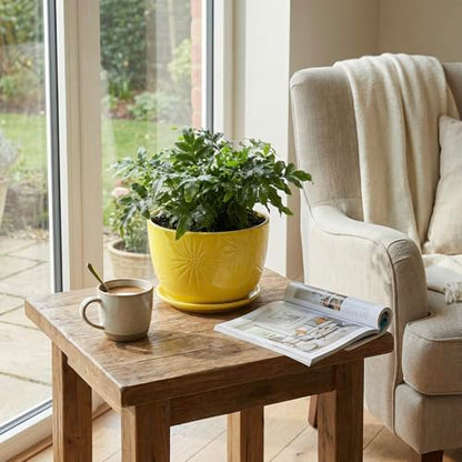 MyGift 7 Inch Yellow Ceramic Planter Pot with Sunburst Design & Saucer - color: Yellow