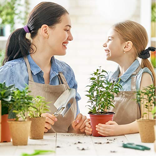 Delxo 4 Inch Nursery Pots 100 Pack Plastic Small Seed Starter Pot Red