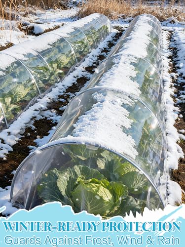 Alphatool 10 x 20 ft Greenhouse Cover Plastic Sheeting for Outdoor Plants - size: 10 x20 ft