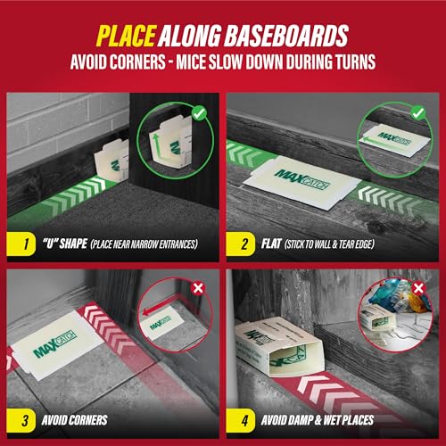 Catchmaster Max-Catch Glue Traps 72pk, Sticky Mouse Traps Indoor for Home - style: 72-PK Classic