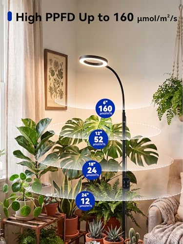 GLOWRIUM Grow Lights for Indoor Plants,Full Spectrum Plant Light with Stand - color: Black-Single Head