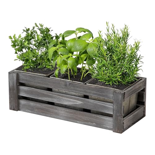 SOFE Rustic Galvanized Planer Box, Indoor Windowsill Herb Garden Organizer