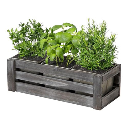 SOFE Rustic Galvanized Planer Box, Indoor Windowsill Herb Garden Organizer