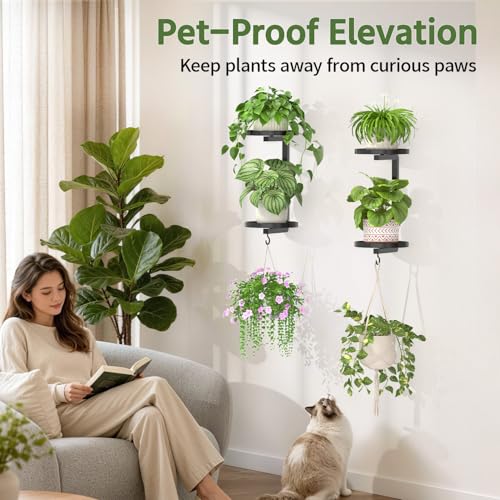 LASZOLA Plant Hanger Holder Shelf Wall Indoor with Lights, 2 Pcs Black - color: Dark Grey, size: 2