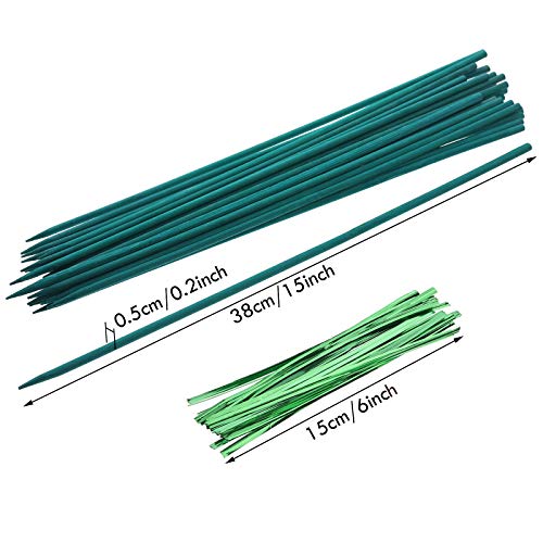 Jetec 110 Pcs 15 Inch Plant Support Kit for Small Orchids, Stakes, Clips
