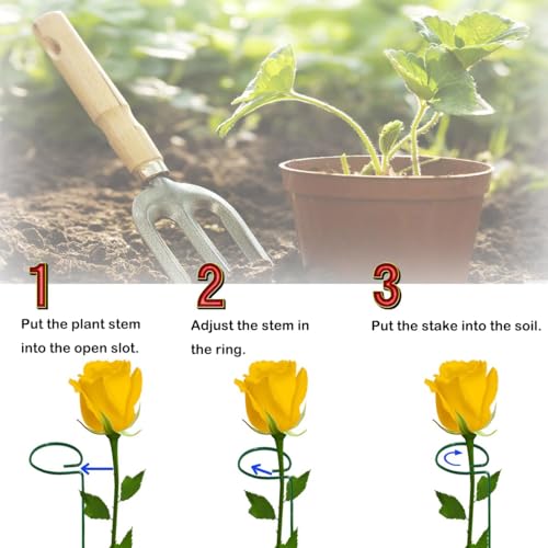 10 Pieces 24 inch Green Single Stem Plant Stakes Flower Support Rings,Gardening Planter Cages for Single Stem Flowers, Amaryllis, Peony, Lily,Narcissus - color: Green-24-inch 10pack
