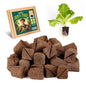 Rooting Cubes for Plant Cloning, 80PCS Grow Media with Pre-Cut Slit - size: Pre-Cut Slit-80PCS