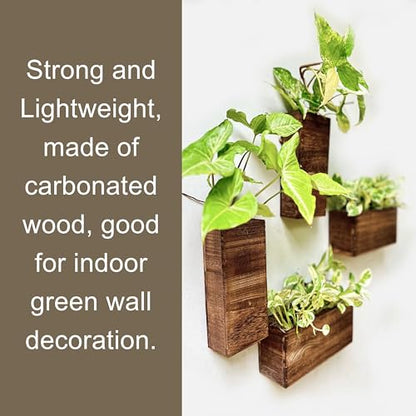 LaLaGreen Wooden Wall Planters (4 Pack) Hanging Wood Planter Box for Plants - size: 4-pc Set