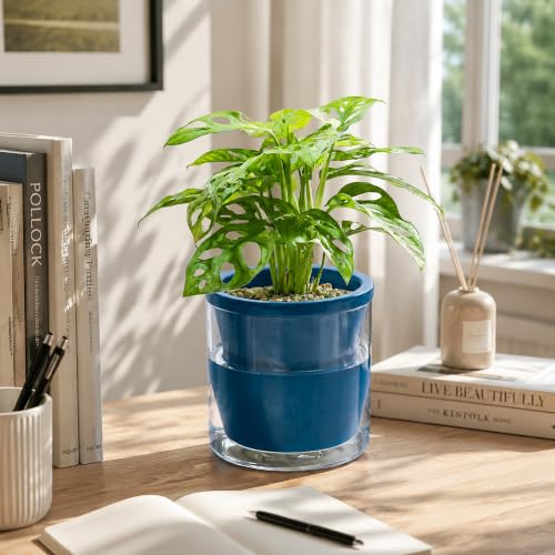 D'vine Dev Self-Watering Blue Terracotta Planter, 6 in, 2-Pack, 37-Y-B-4 - color: Blue, size: 6 Inch