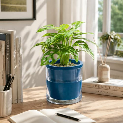 D'vine Dev Self-Watering Blue Terracotta Planter, 6 in, 2-Pack, 37-Y-B-4 - color: Blue, size: 6 Inch