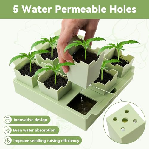 Seed Starter Tray with Lift-Out Handles for Easy Transplanting