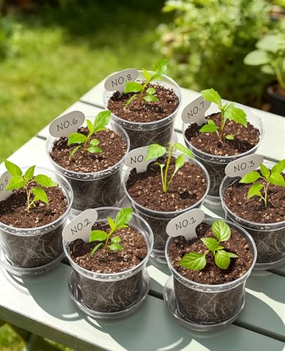 homenote 5 Inch Clear Nursery Pots 30 Pack with Drainage Holes and Saucers - size: 5 INCH