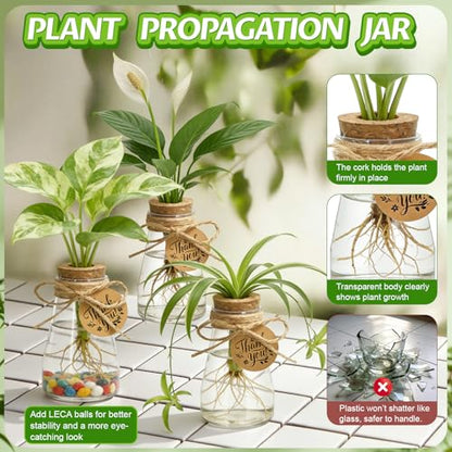 48PCS Plant Propagation Stations 3.35'' Plastic Propagation Jars Clear Vase - size: 48 Pack