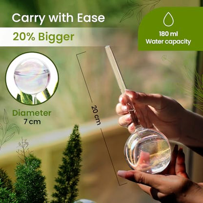 Iridescent Self Watering Globes, Glass Rainbow Plant Watering Globes, Self Watering Planter Insert, Automatic Plant Waterer Indoor (Medium-2 Pcs Iridescent, Medium) - color: Medium - 2 Pcs (Pack of 1)