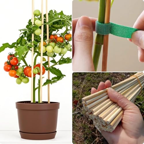100 PCS 3FT Bamboo Plant Stakes, 6.3mm Thick Bamboo Stakes - size: 36 inch 6.3mm