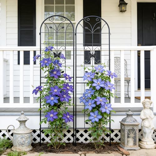 Garden Trellis for Climbing Plants Outdoor, 2-Pack 86" Metal Butterfly - color: Butterfly2-2pacs-Black, size: 86×19.7"