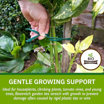 Bio-Stretch Soft Garden Twine & Plant Ties for Outdoor Plants, 2 Ball Green - size: 130 ft / 40M