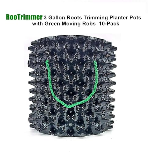 RooTrimmer 3 Gallon Air Pruning Container New Plastic Nursery Pot Fruit Vegetable Garden self-Planting pots, Size 10"x10", Black - size: 3 gallon-10P
