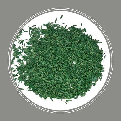Pennington Contractors Central Grass Seed Mix, 20 lb - size: 20 LB