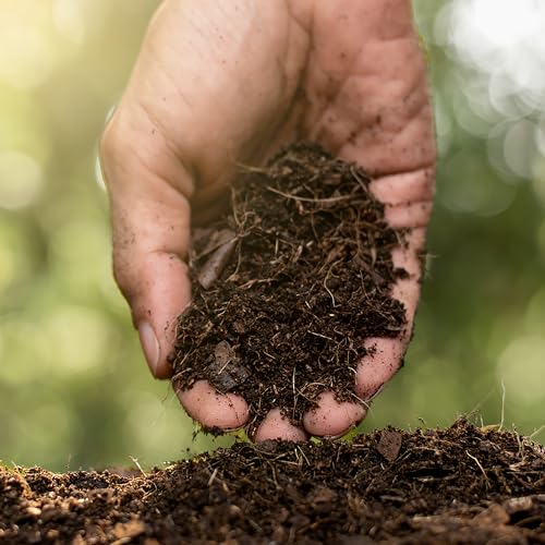 Jobe's Organics Fast Acting Granular Fertilizer Compost Starter, Easy Plant Care Compost Accelerator, 4 lbs Bag - size: 4 lb
