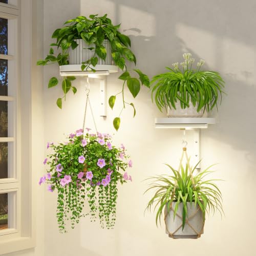 LASZOLA Plant Hanger Holder Shelf Wall Indoor with Lights, 2 Pcs White - color: White, size: 2