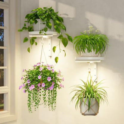 LASZOLA Plant Hanger Holder Shelf Wall Indoor with Lights, 2 Pcs White - color: White, size: 2