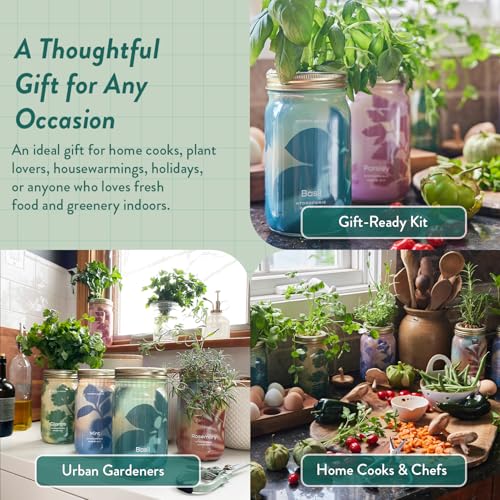 Modern Sprout Garden Jar Gift Pack - Hydroponic Kit - Basil, Parsley & Mint - color: Basil, Parsley, Mint, size: Garden Jar Gift Box Set