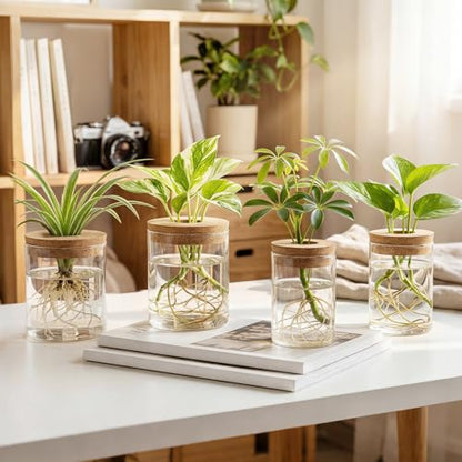 Dahey 4Pcs Glass Plant Propagation Station, 2 Large Vases & 2 Small Pots