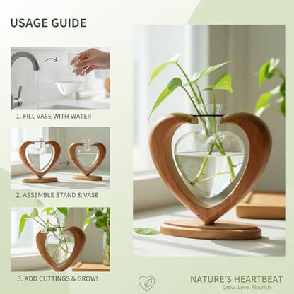 Plant Propagation Station, Heart Glass Vase, Solid Wooden Stand - color: 1 Pack