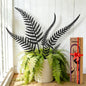 6-Piece Vintage Black Metal Fern Garden Stake Set - style: Black Fern Leaf Set