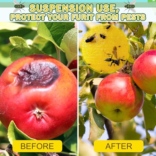 Qualirey 10 Set Fruit Fly Sticky Trap Balls Fungus Gnat Killer, Yellow - color: Yellow