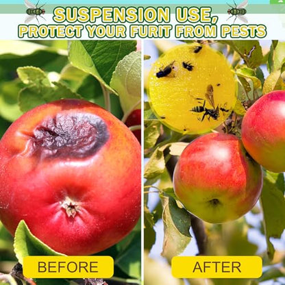 Qualirey 10 Set Fruit Fly Sticky Trap Balls Fungus Gnat Killer, Yellow - color: Yellow