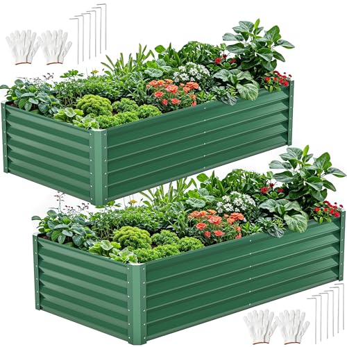DWVO 2pcs 6 x 3 x1.5 FT Raised Garden Bed Kit, Outdoor Galvanized Flower Bed with Gloves, Large Metal Planter Box for Vegetables, Flowers, Herbs, Fruits, Green - color: Green, size: 6x3x1.5 2pcs
