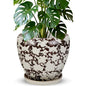 Ceramic Plant Pots With Saucer & Drainage Hole, 10 inch Indoor Flower Pots - color: White, size: 10 inch
