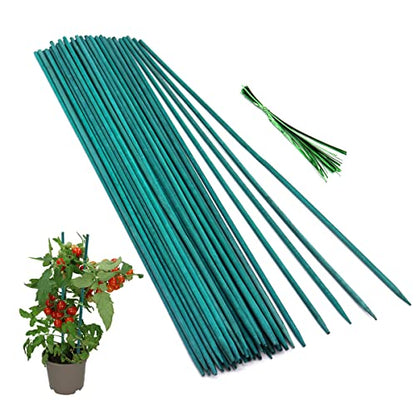 GAGINANG Green Bamboo Plant Stakes, 50 Pcs 18 Inches Floral Support Sticks - size: 18 inch Pack of 50