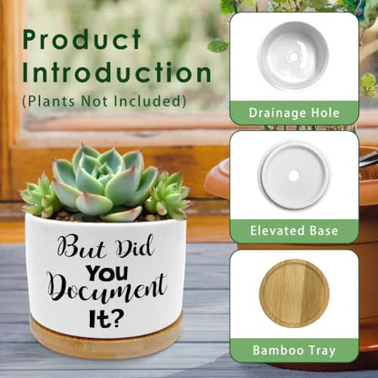 But Did You Document It Funny Plant Pots Succulent Planters - color: Style C