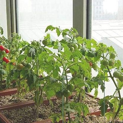 Plant Stake Support - 6 Pack, Garden Single Stem Support Stake 15.9 inch - size: 15.9inch