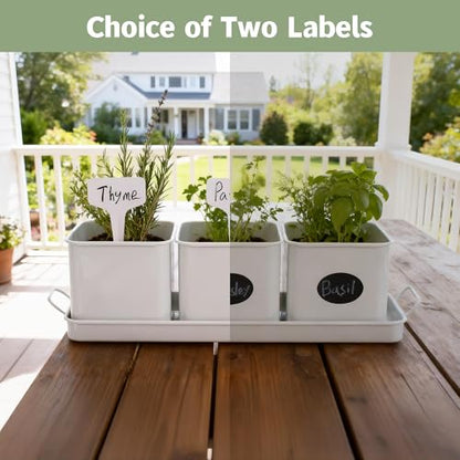 Indoor Herb Planter with 3 Herb Pots and Handled Tray