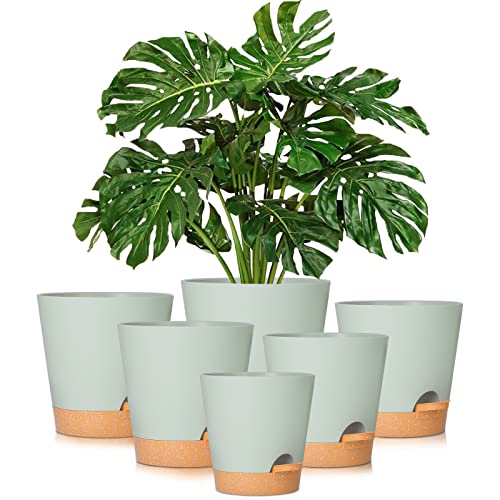 GARDIFE Plant Pots 8/7/6.5/6/5.5/5 Inch Self Watering Planters with Drainage Hole, Plastic Flower Pots, Nursery Planting Pot for All House Plants, African Violet, Flowers, and Cactus,Green - color: 8-green, size: 8+7+6.5+6+5.5+5 inch