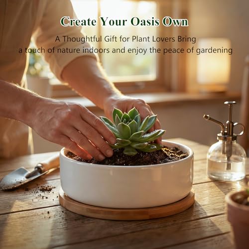 ZOUTOG 4 Pack 6" Ceramic Succulent Pots, White Planters with Drainage Tray - color: 4 Pack, size: 2.28 Inch High