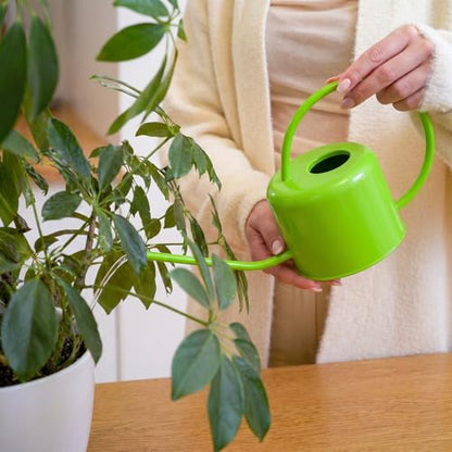 Plexon Long Spout Watering Can Indoor Plants, 40 oz Small Watering Can Pot Metal for Garden Flowers House Plants Mini, Powder Coated,Gift for Mom Girlfriend Daughter, Green - color: Green, 40 Oz
