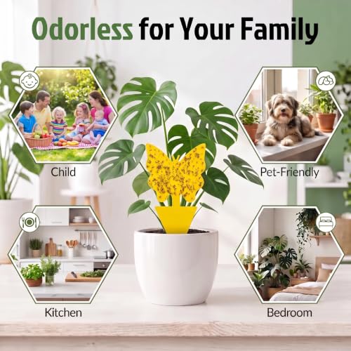 Yellow Sticky Fruit Fly Trap 54 Pack, Gnat Traps for Indoor House Plants - size: 54 Packs